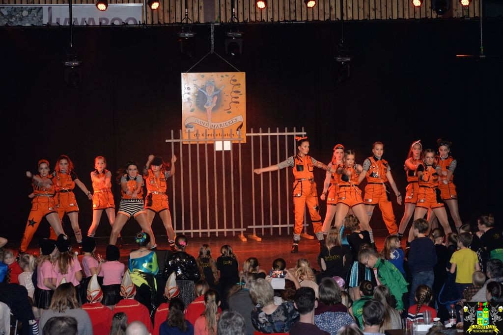 ../Images/Dansmarieke festival 2018 495.jpg